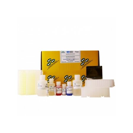 Zymo Research Quick-DNA 96 Plus Kit, 2 x 96 Wells ZD4070